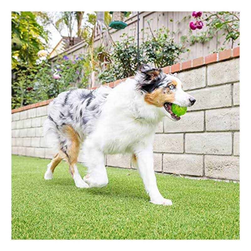 Dog Toy Ball D3907