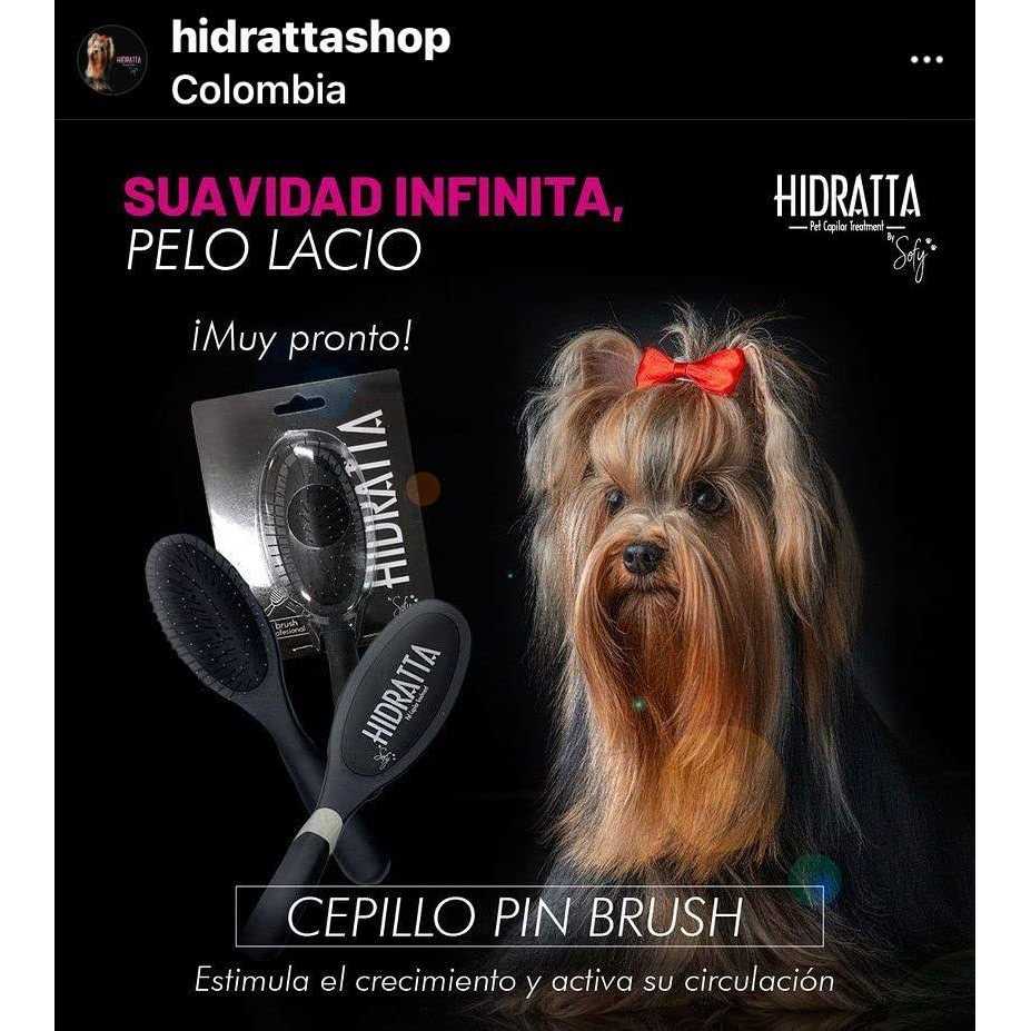Pet Hairbrush N242564