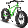 26 Inch Fat Tire Mountain Bike with Dual Disc Brake E30765