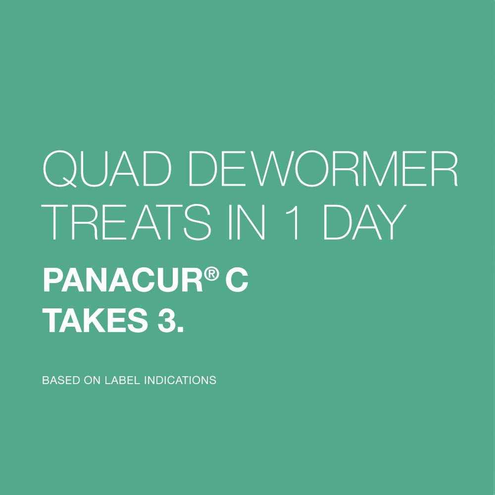 Large Dog Dewormer S959