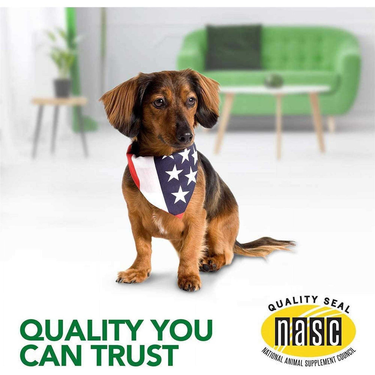 Dog Supplement X74054