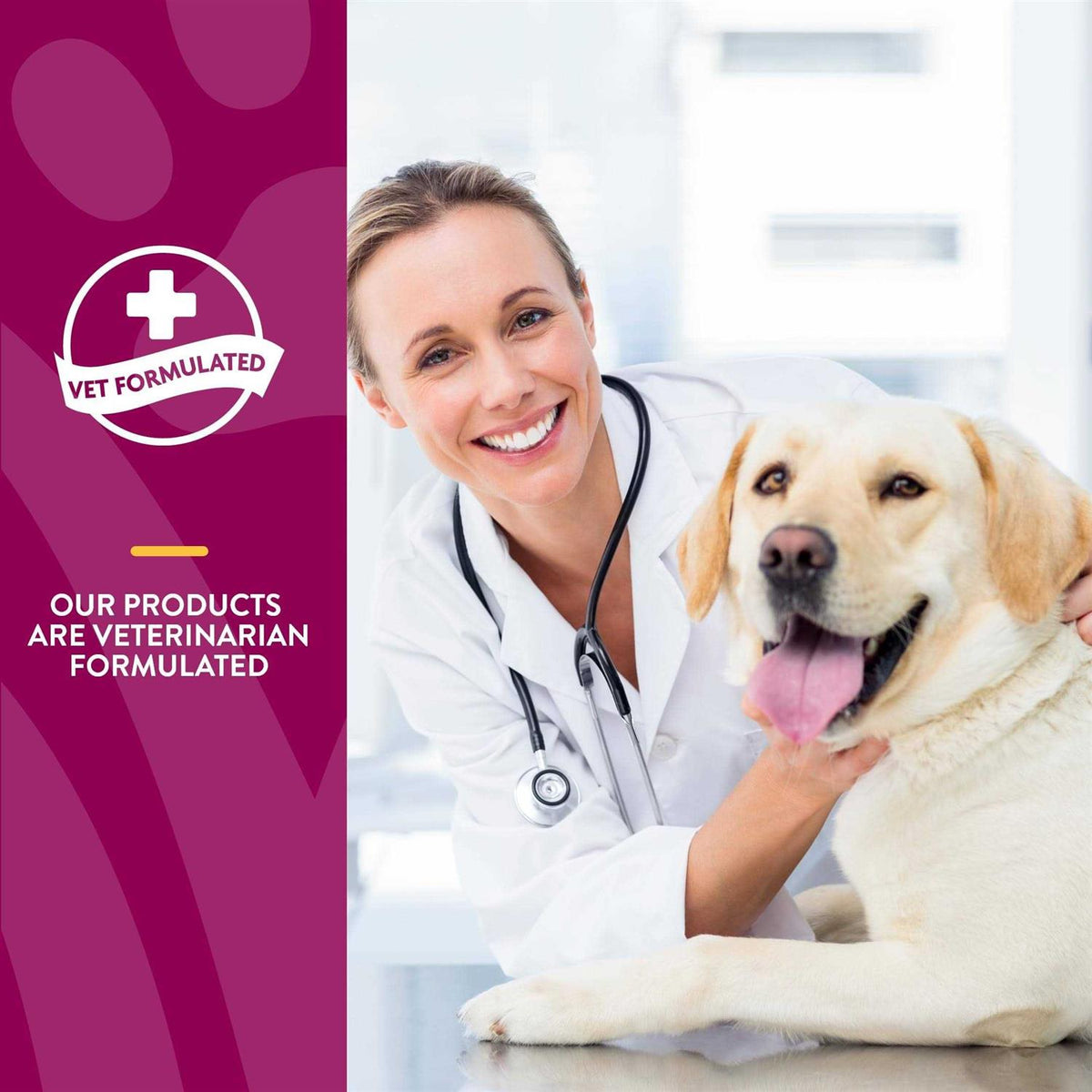 MSM Tablets for Dogs Z341739