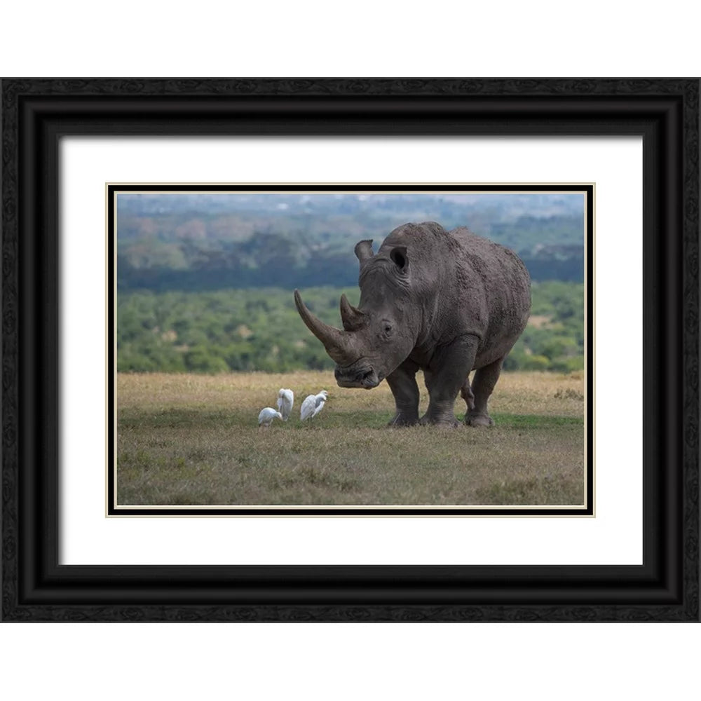 Black Ornate Wood Framed Art Print N3853