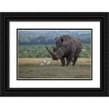 Black Ornate Wood Framed Art Print N3853