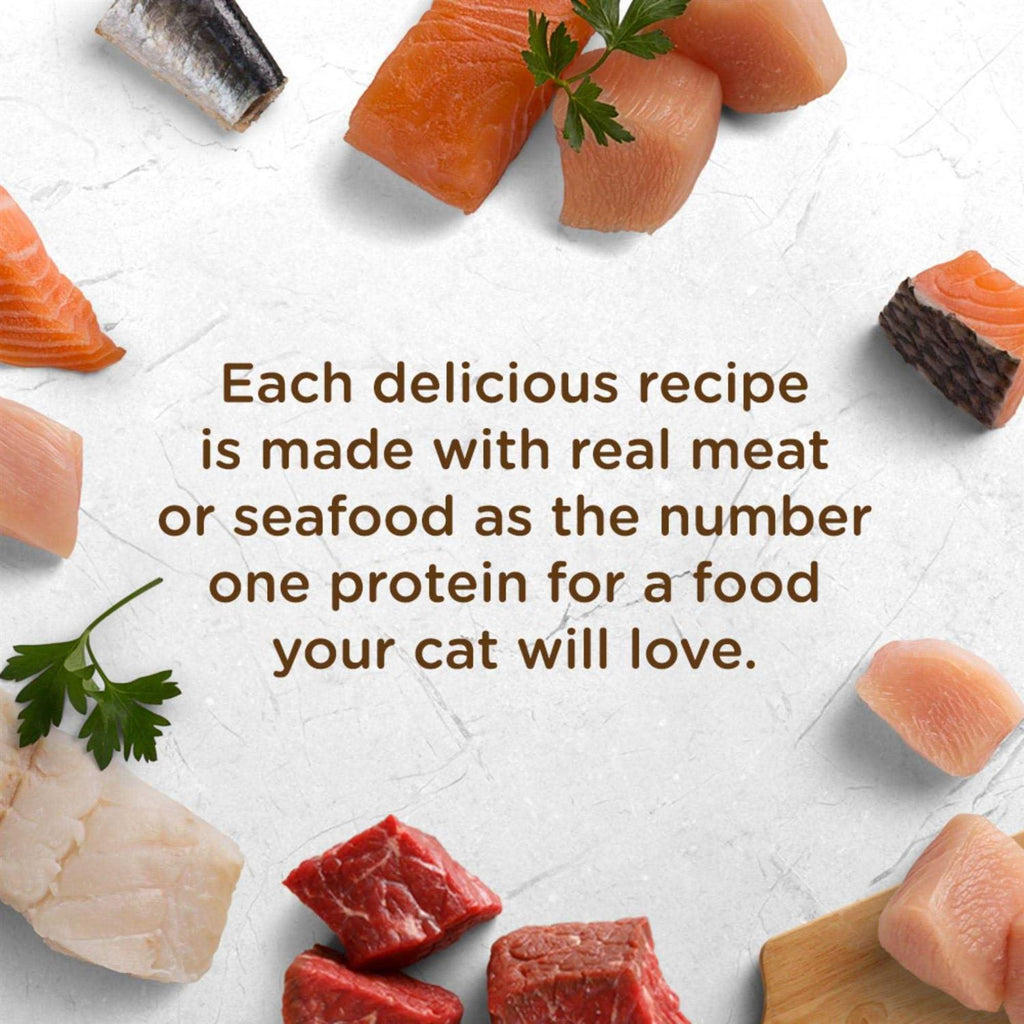 Wet Cat Food Variety Pack X703449