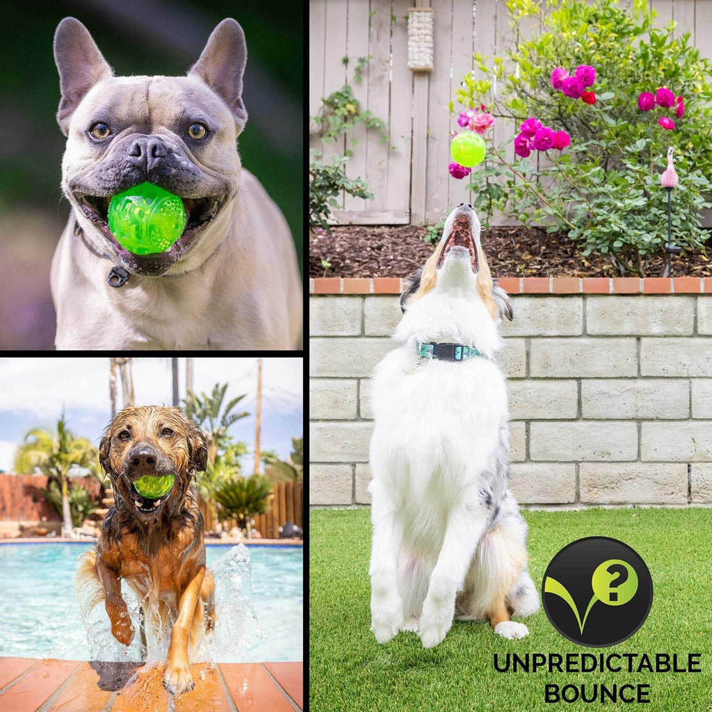 Dog Toy Ball D3907