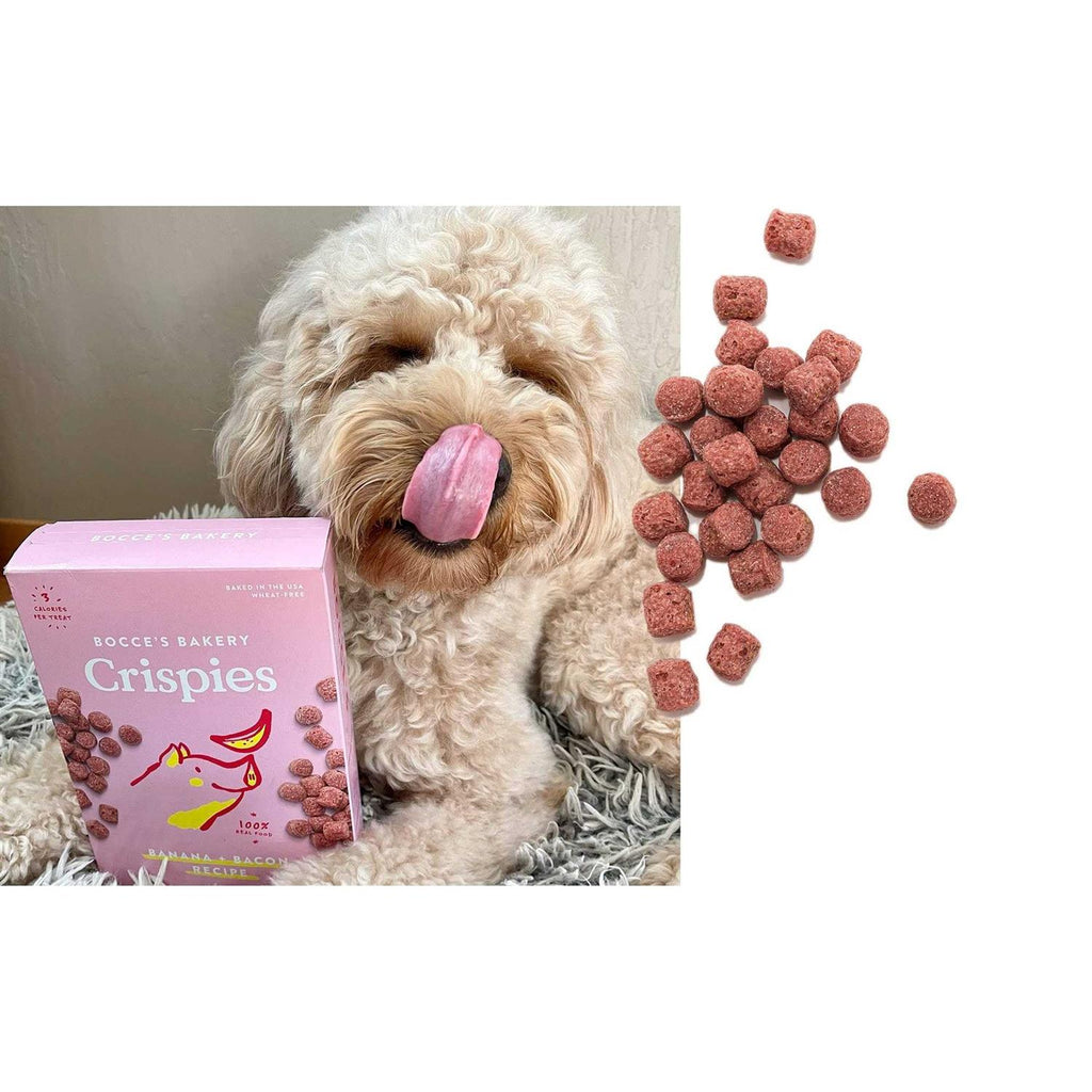 Dog Treats S825476