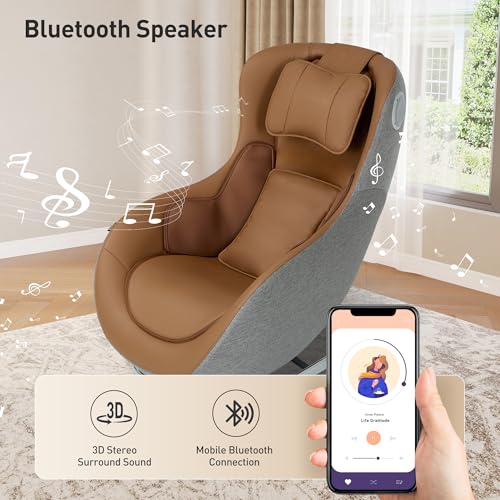 Brown Massage Chair S5958