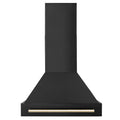 30 in. Black Stainless Steel Range Hood with Gold Handle R793
