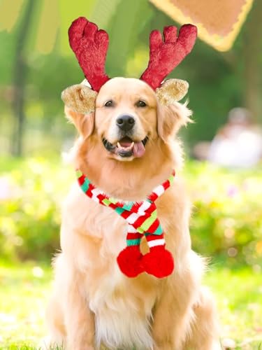 Christmas Reindeer Antler Headband for Dog A55545