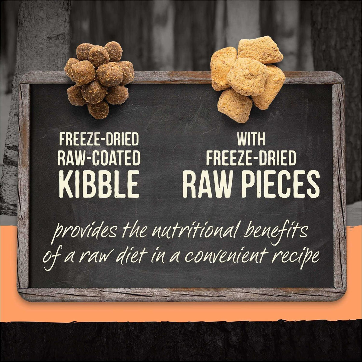 Grain Free Raw Infused Dry Dog Food F9229