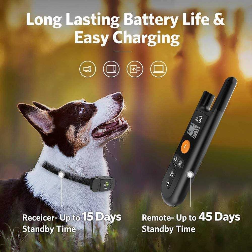 Dog Training System U4462
