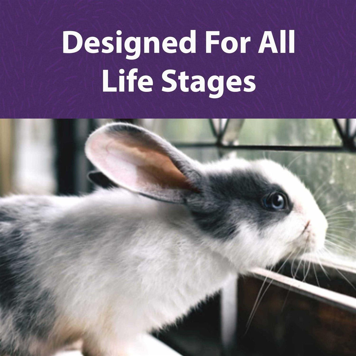 Timothy Based Rabbit Diet S3971