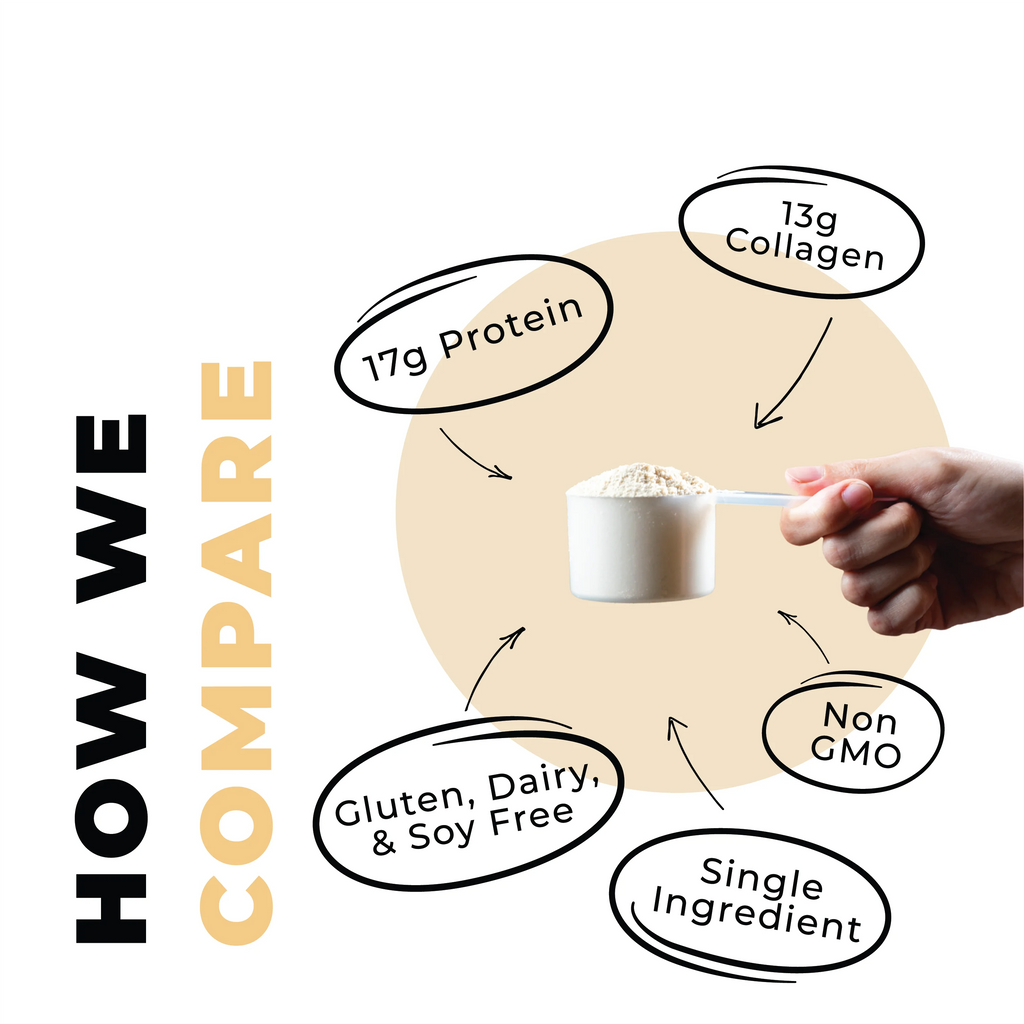 Grass Fed Collagen Protein Powder, Vanilla, 16 oz D581