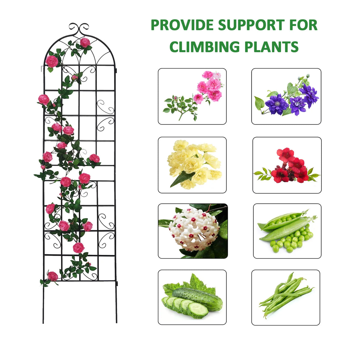 Metal Garden Trellis Black A18344