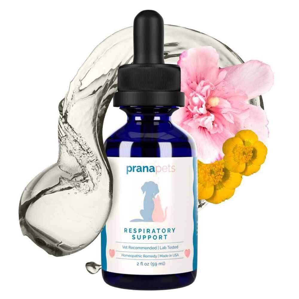 Respiratory Support Supplement for Dogs & Cats Y35397