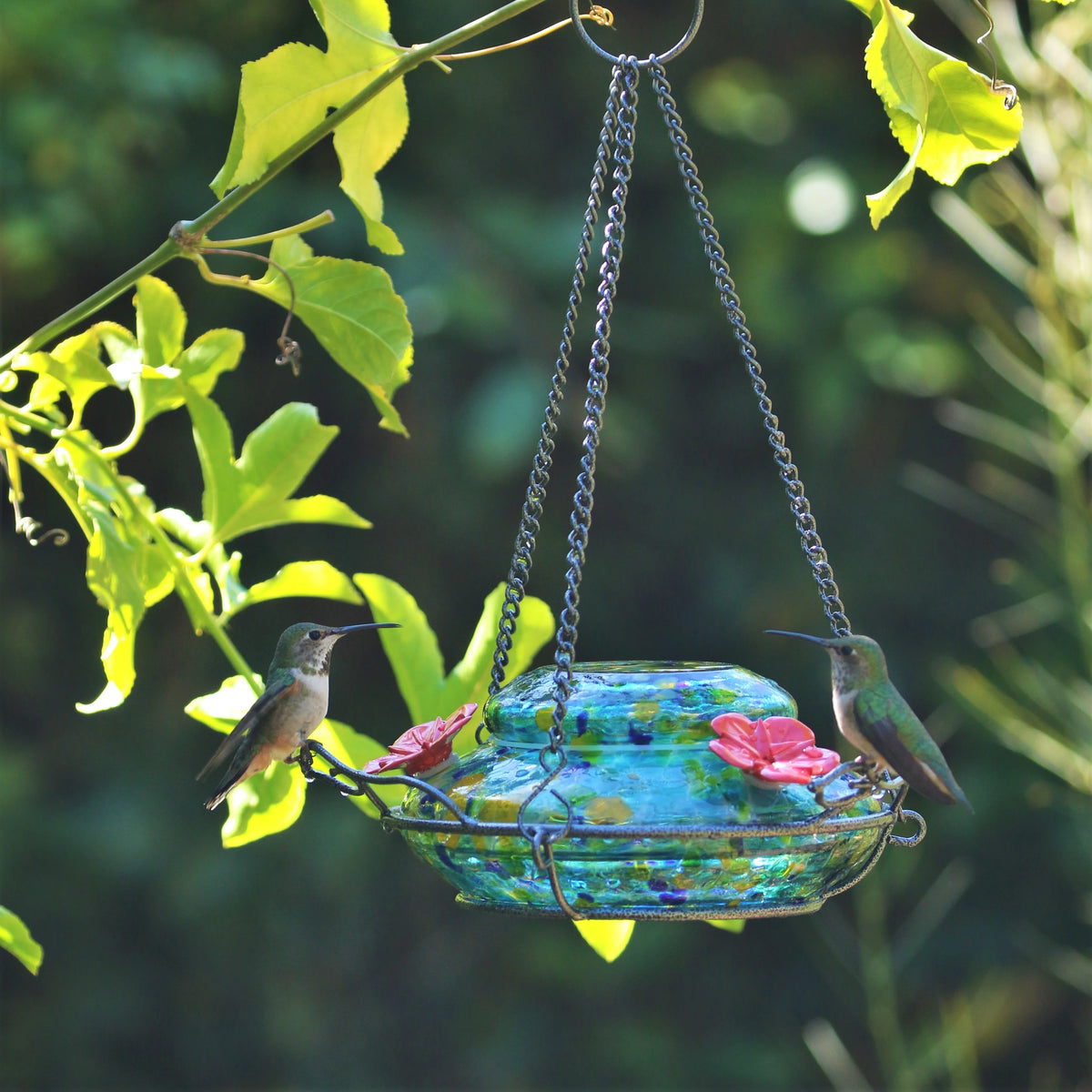 Artisan Glass Solar-Powered Hummingbird Feeder 16 oz V878