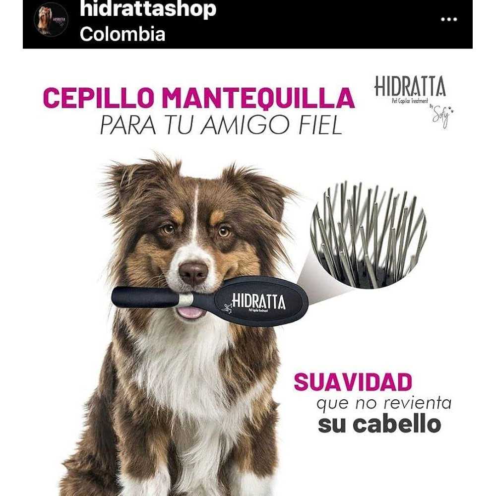 Pet Hairbrush N242564
