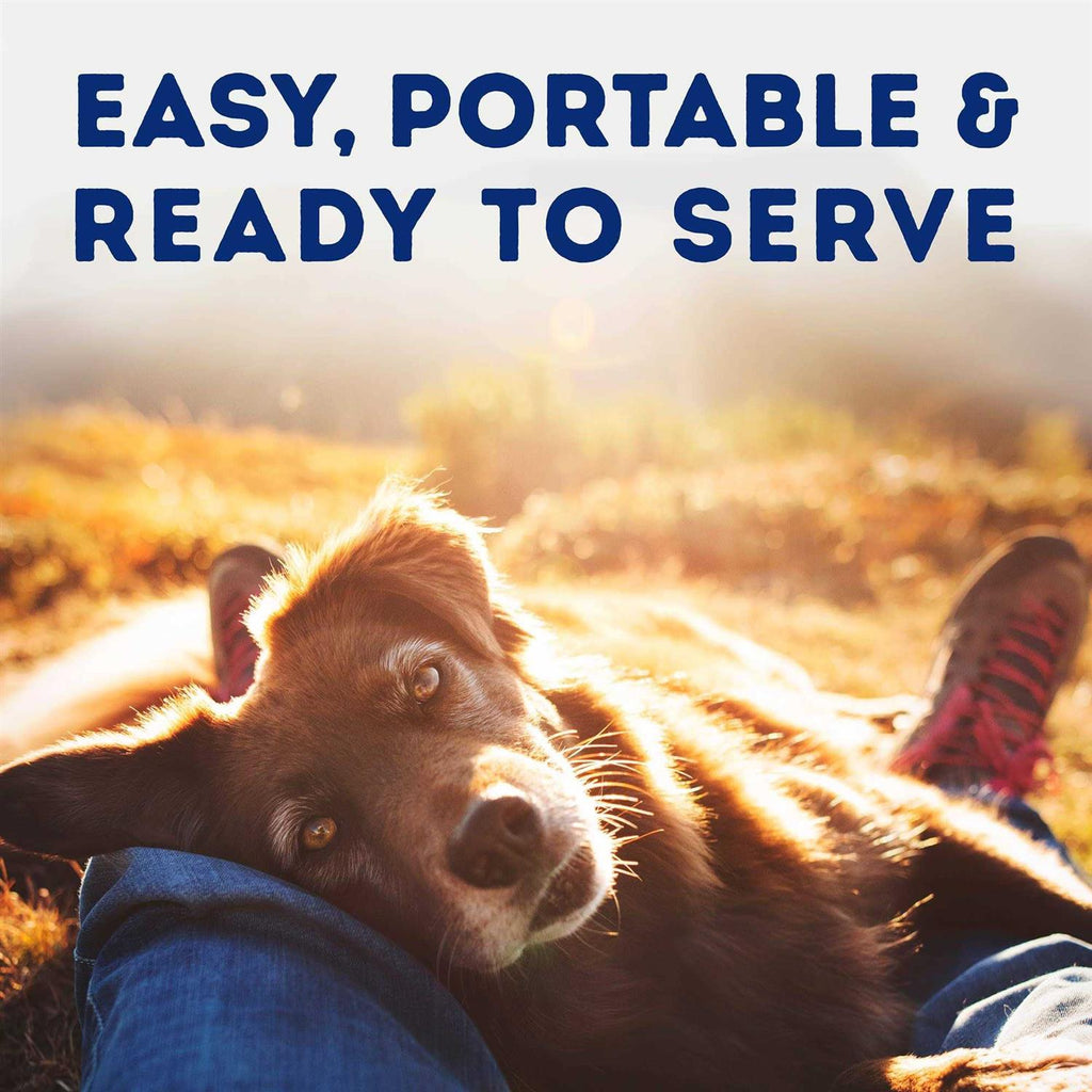 Tender Beef & Potato Recipe Wet Dog Food Q611701