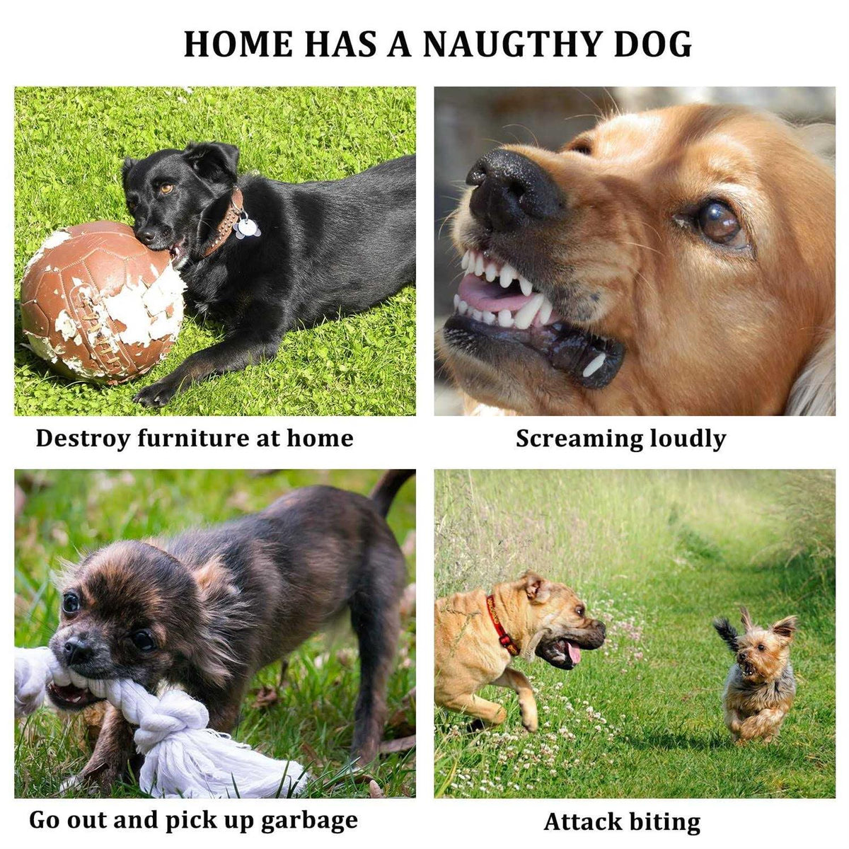 3pcs Silicone Dog Muzzle Anti Barking Chewing Adjustable F85055