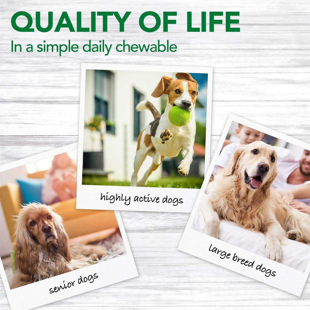 Dog Supplement X74054
