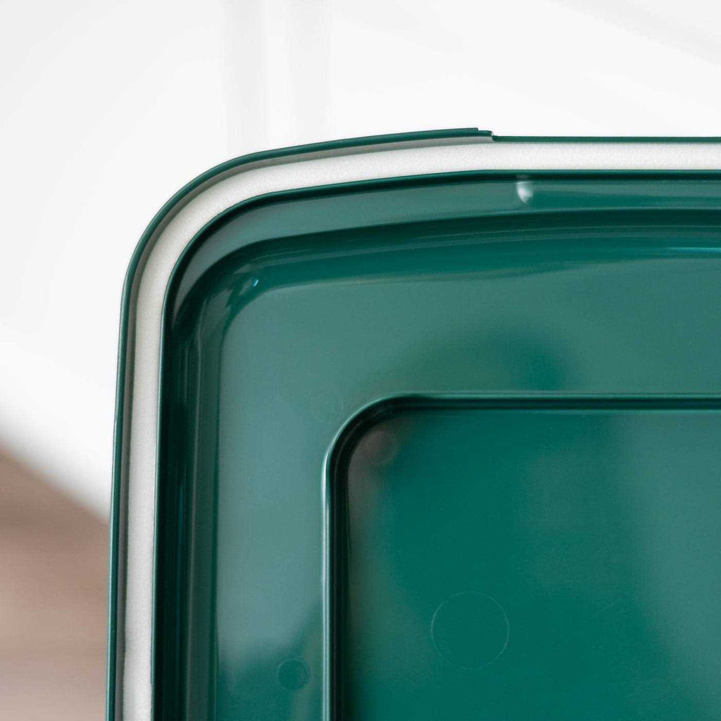 Airtight Pet Food Container A818