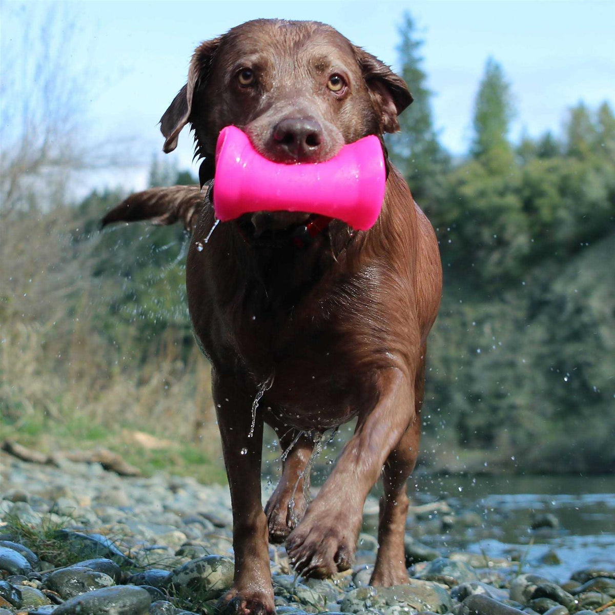 Crinkit Dog Toy M565240